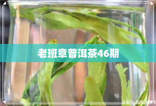 老班章普洱茶46期