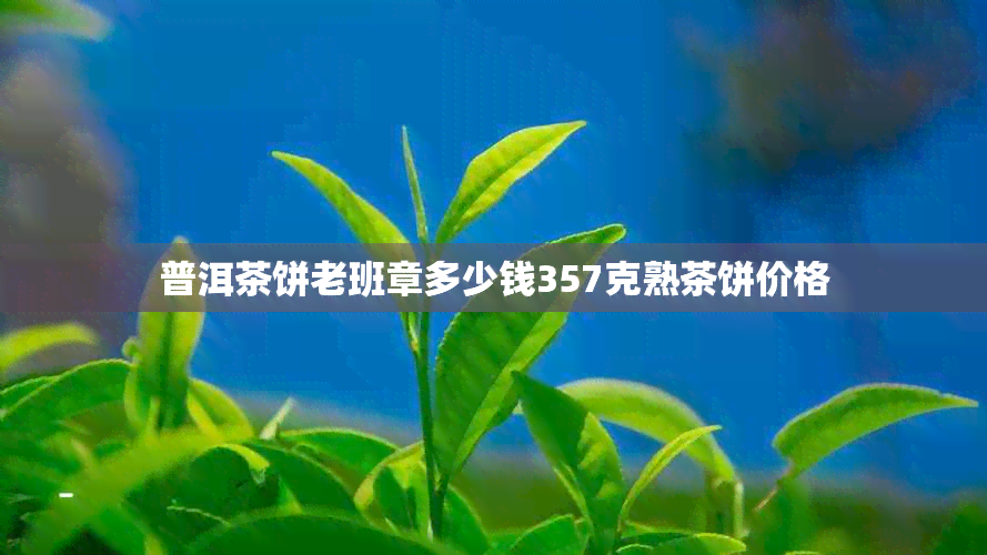 普洱茶饼老班章多少钱357克熟茶饼价格