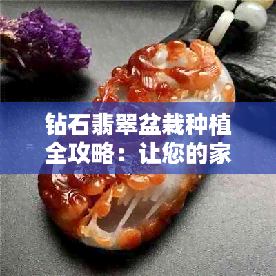 钻石翡翠盆栽种植全攻略：让您的家居绿意盎然