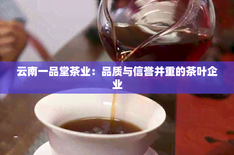 云南一品堂茶业：品质与信誉并重的茶叶企业