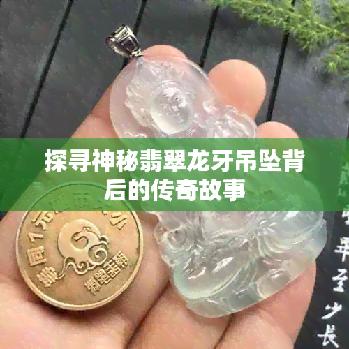 探寻神秘翡翠龙牙吊坠背后的传奇故事