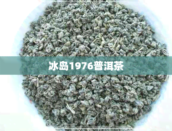 冰岛1976普洱茶