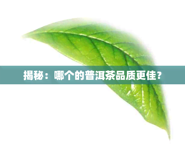 揭秘：哪个的普洱茶品质更佳？