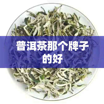 普洱茶那个牌子的好