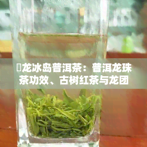 犇龙冰岛普洱茶：普洱龙珠茶功效、古树红茶与龙团茶叶精华