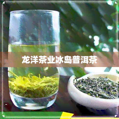 龙洋茶业冰岛普洱茶