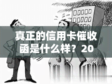 真正的信用卡函是什么样？2020年信用卡规定解析