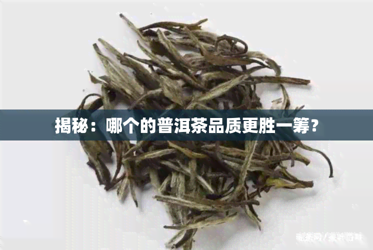 揭秘：哪个的普洱茶品质更胜一筹？