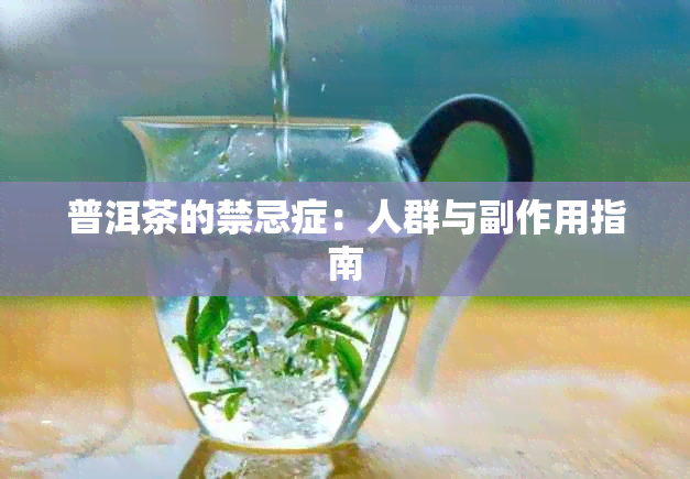 普洱茶的禁忌症：人群与副作用指南