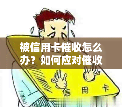 被信用卡怎么办？如何应对员天天打电话