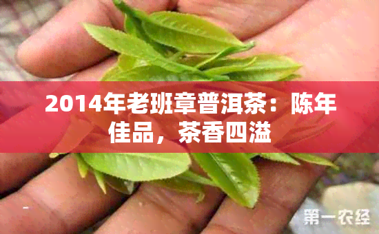 2014年老班章普洱茶：陈年佳品，茶香四溢