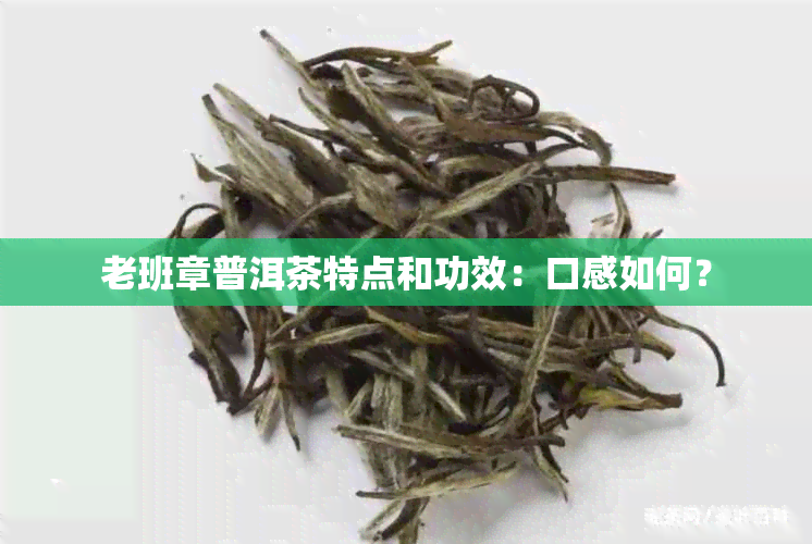 老班章普洱茶特点和功效：口感如何？