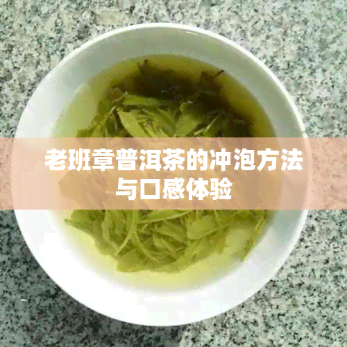 老班章普洱茶的冲泡方法与口感体验