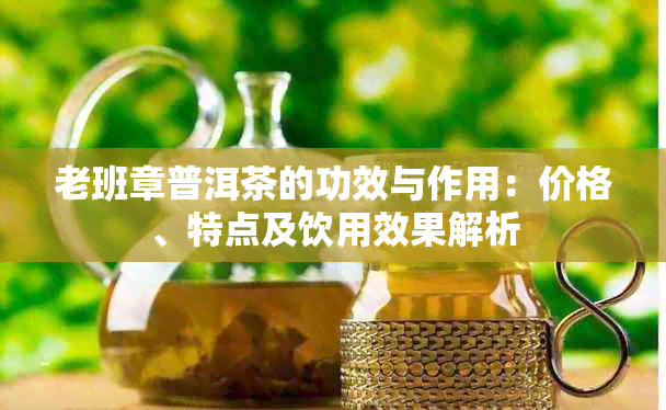 老班章普洱茶的功效与作用：价格、特点及饮用效果解析