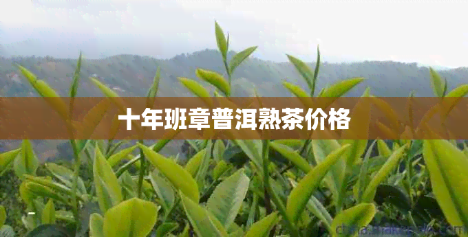 十年班章普洱熟茶价格