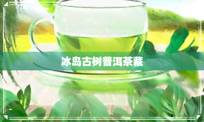 冰岛古树普洱茶藏