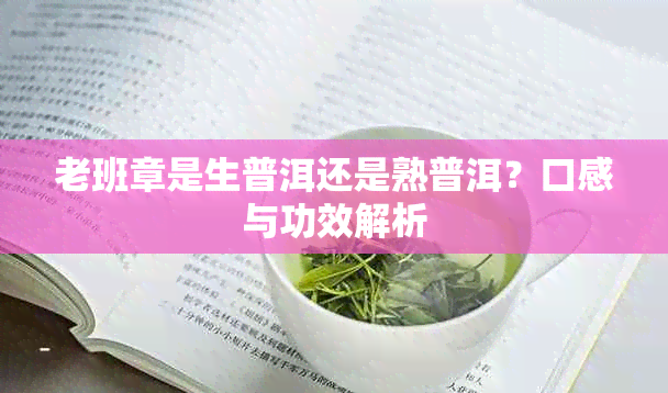 老班章是生普洱还是熟普洱？口感与功效解析