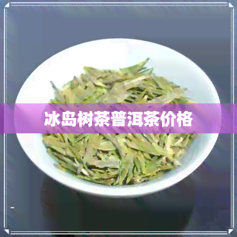 冰岛树茶普洱茶价格