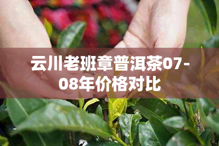 云川老班章普洱茶07-08年价格对比