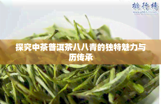 探究中茶普洱茶八八青的独特魅力与历传承