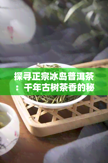 探寻正宗冰岛普洱茶：千年古树茶香的秘密