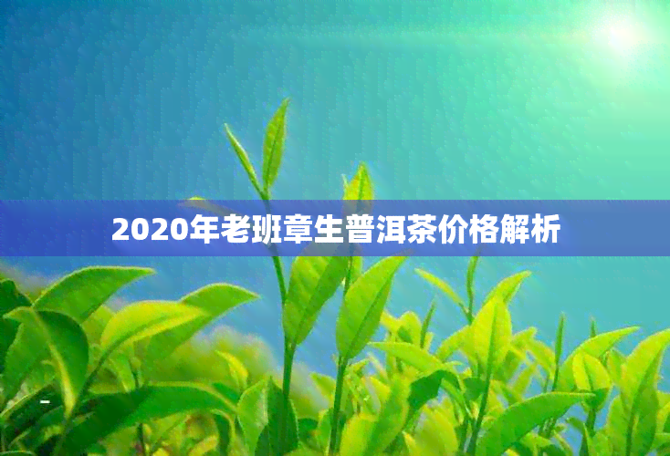 2020年老班章生普洱茶价格解析