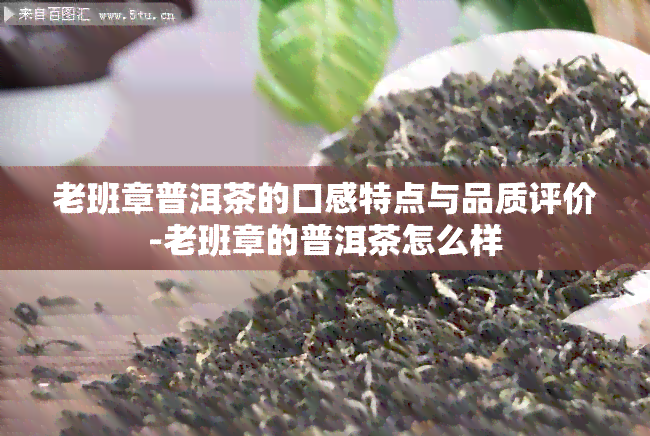 老班章普洱茶的口感特点与品质评价-老班章的普洱茶怎么样