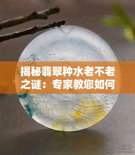 揭秘翡翠种水老不老之谜：专家教您如何辨别