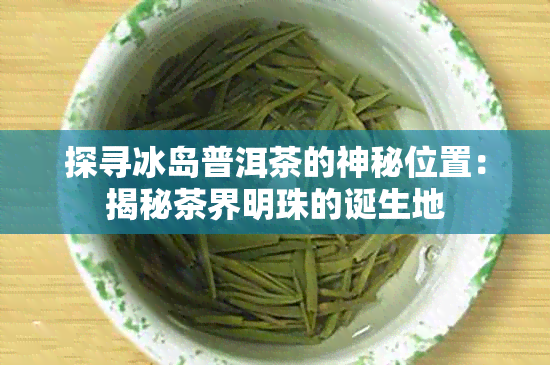 探寻冰岛普洱茶的神秘位置：揭秘茶界明珠的诞生地