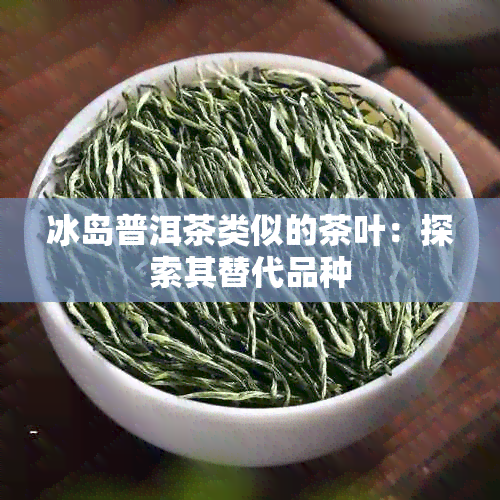 冰岛普洱茶类似的茶叶：探索其替代品种