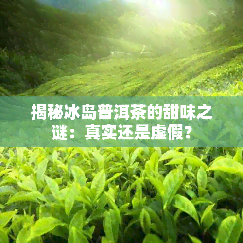 揭秘冰岛普洱茶的甜味之谜：真实还是虚假？