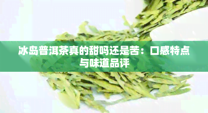 冰岛普洱茶真的甜吗还是苦：口感特点与味道品评