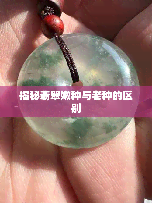 揭秘翡翠嫩种与老种的区别