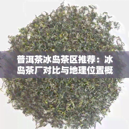 普洱茶冰岛茶区推荐：冰岛茶厂对比与地理位置概述