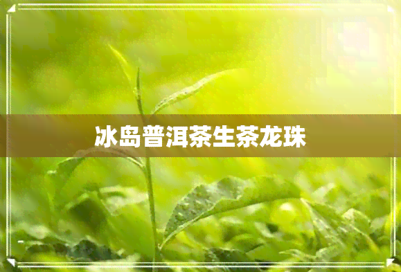 冰岛普洱茶生茶龙珠