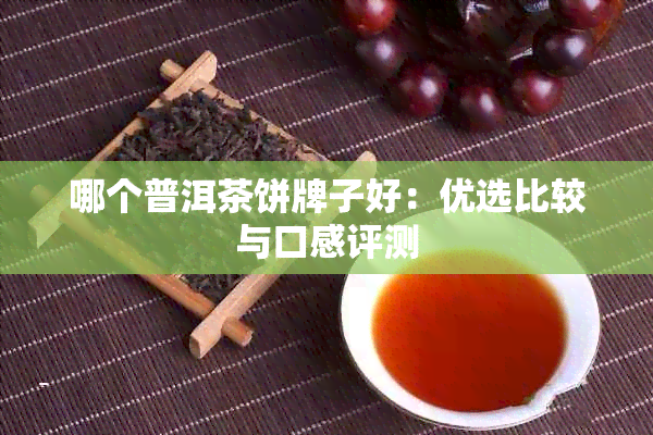 哪个普洱茶饼牌子好：优选比较与口感评测