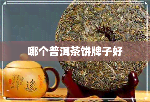 哪个普洱茶饼牌子好