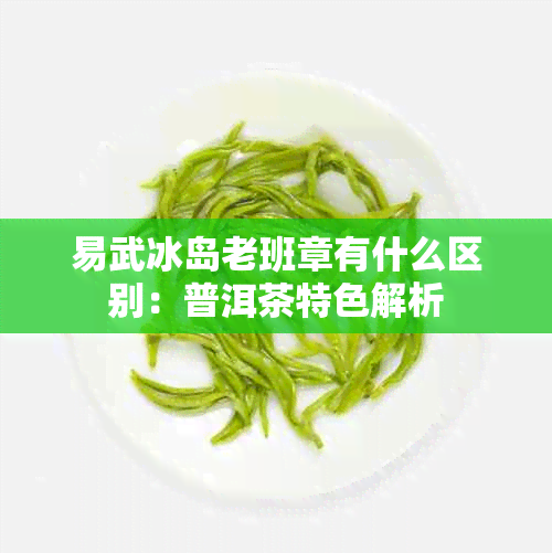 易武冰岛老班章有什么区别：普洱茶特色解析