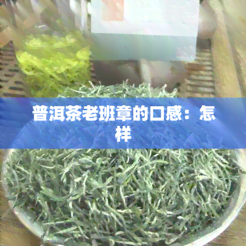 普洱茶老班章的口感：怎样