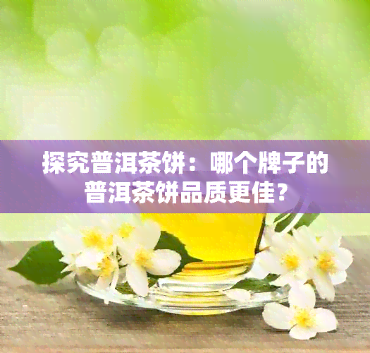 探究普洱茶饼：哪个牌子的普洱茶饼品质更佳？