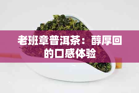 老班章普洱茶：醇厚回的口感体验