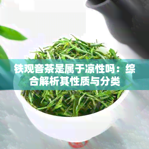 铁观音茶是属于凉性吗：综合解析其性质与分类