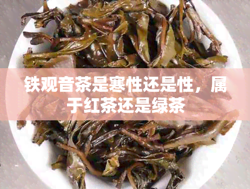 铁观音茶是寒性还是性，属于红茶还是绿茶