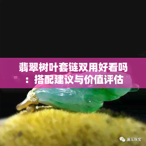 翡翠树叶套链双用好看吗：搭配建议与价值评估