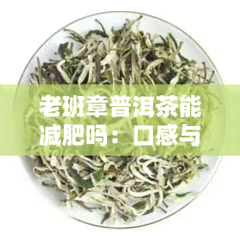 老班章普洱茶能减肥吗：口感与功效解析