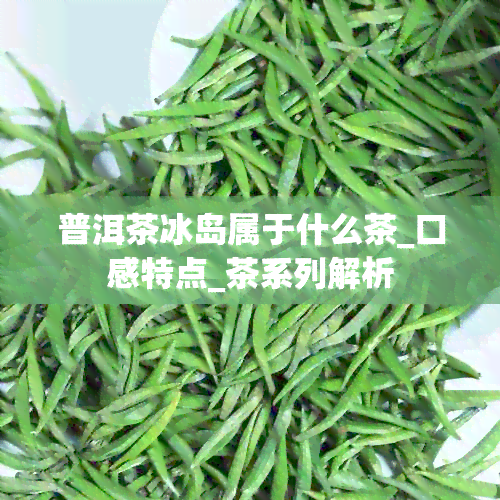 普洱茶冰岛属于什么茶_口感特点_茶系列解析