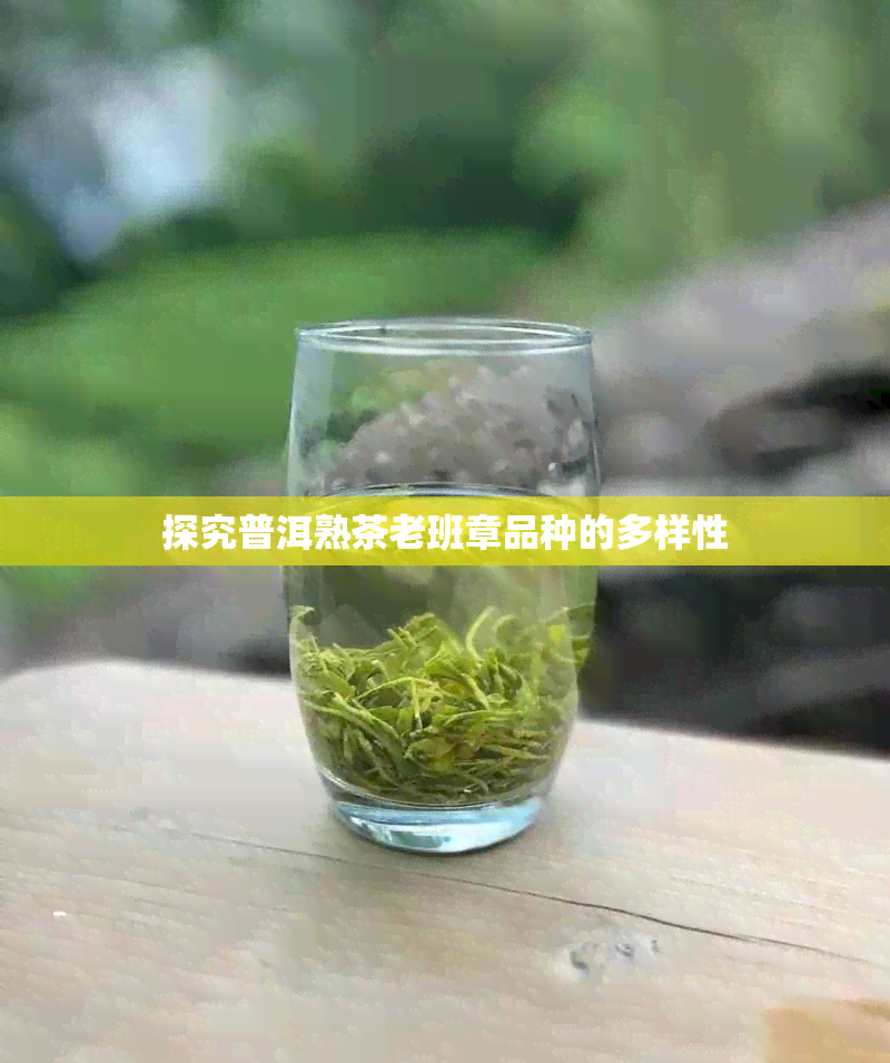 探究普洱熟茶老班章品种的多样性