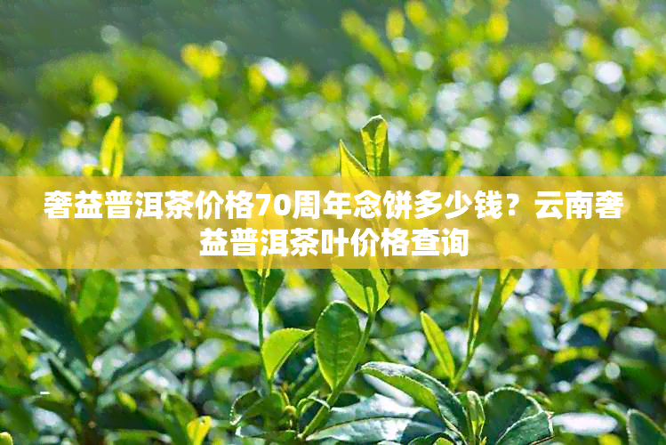 奢益普洱茶价格70周年念饼多少钱？云南奢益普洱茶叶价格查询