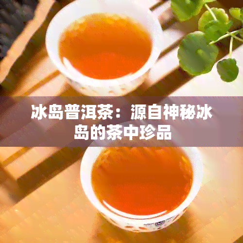 冰岛普洱茶：源自神秘冰岛的茶中珍品