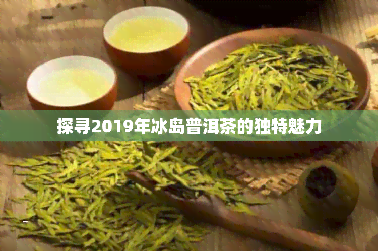 探寻2019年冰岛普洱茶的独特魅力